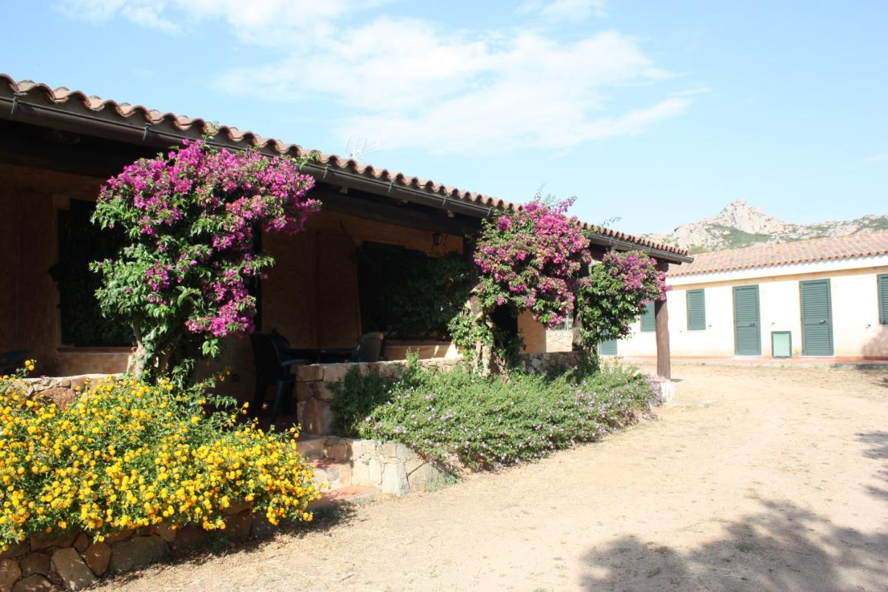 Agriturismo Lu Branu Arzachena Exteriör bild